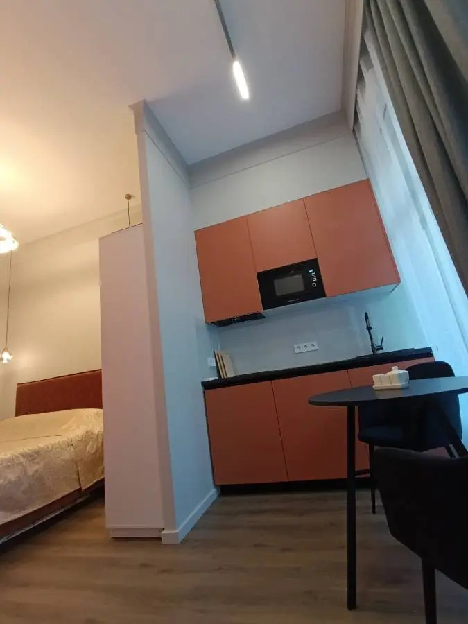 1-комн. возле Нарзанной галереи, 21 м², ул. Реброва, 1 — главное фото квартиры посуточно в Кисловодске