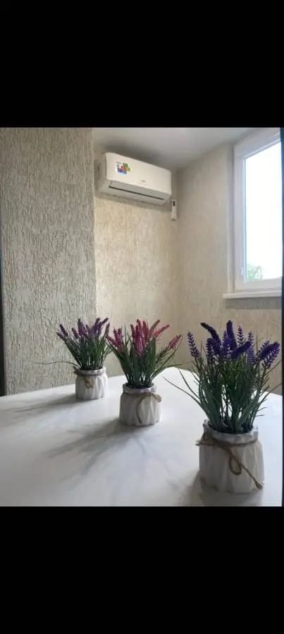 1-комн. в спокойном районе, 41 м², ул. А. Губина д 11 — фото квартиры посуточно в Кисловодске №3