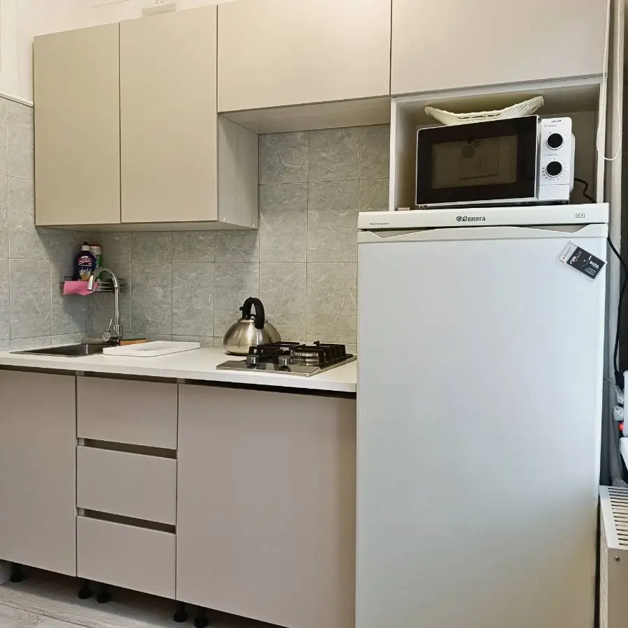1-комн. рядом с прогулочной зоной, 30 м², ул Тельмана, д 27 — фото квартиры посуточно в Кисловодске №3