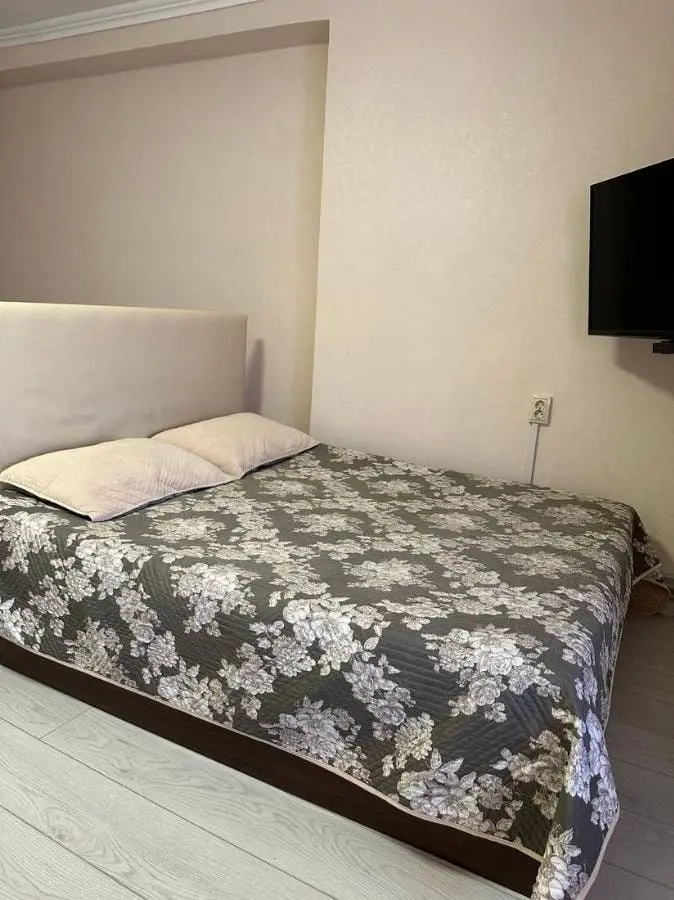 1-комн. в центре Кисловодска, 45 м², ул Чкалова, д 3 — фото квартиры посуточно в Кисловодске №3