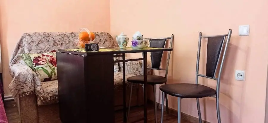 1-комн. у Курортного бульвара, 25 м², ул. Ге Ксении, д. 9 — фото квартиры посуточно в Кисловодске №3