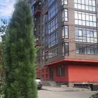 Собственник