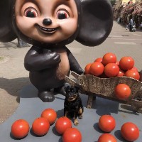 Кисловодск Комфорт